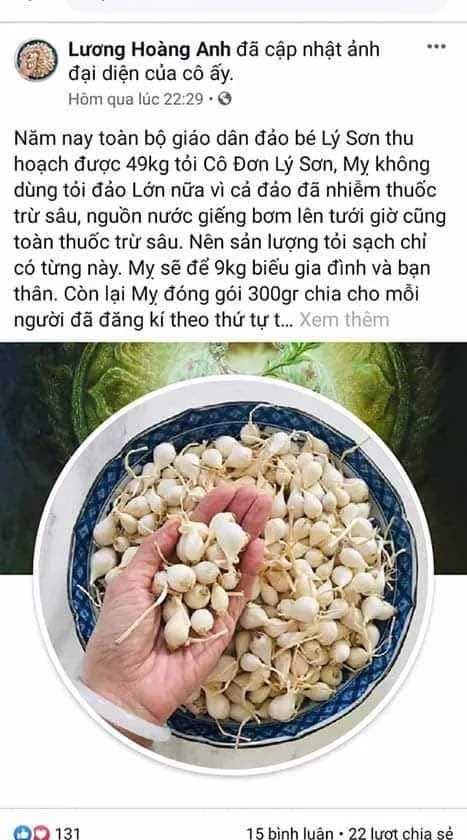 Quảng Ngãi đề nghị Bộ Công an truy tìm tài khoản Facebook tung tin tỏi Lý Sơn nhiễm thuốc trừ sâu ảnh 1