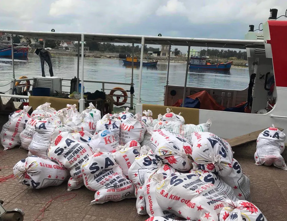 Thanh niên Quảng Ngãi “giải cứu” dưa hấu  ảnh 3