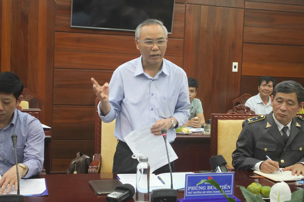 Quảng Ngãi phải quyết liệt hơn với chống đánh bắt hải sản bất hợp pháp ảnh 2