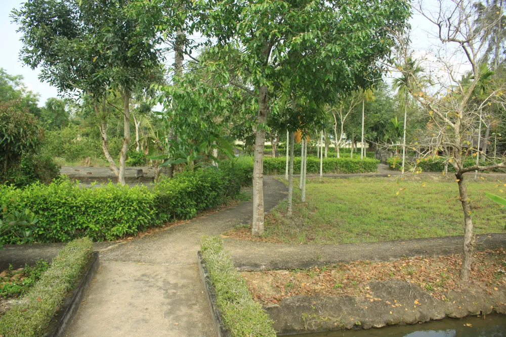 Tưởng niệm 52 năm ngày thảm sát Sơn Mỹ ảnh 6