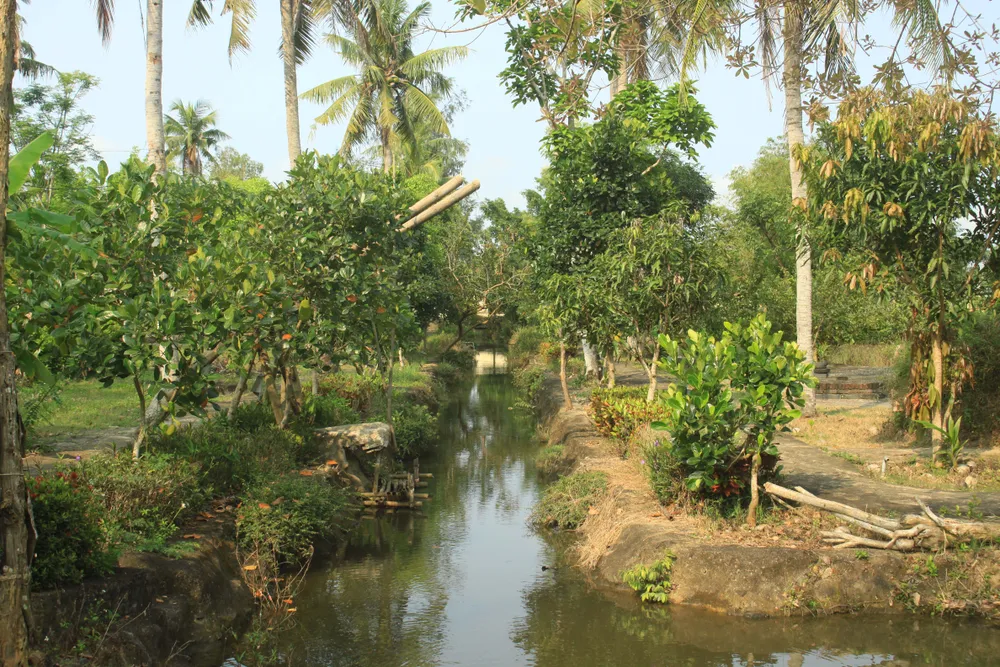 Tưởng niệm 52 năm ngày thảm sát Sơn Mỹ ảnh 8