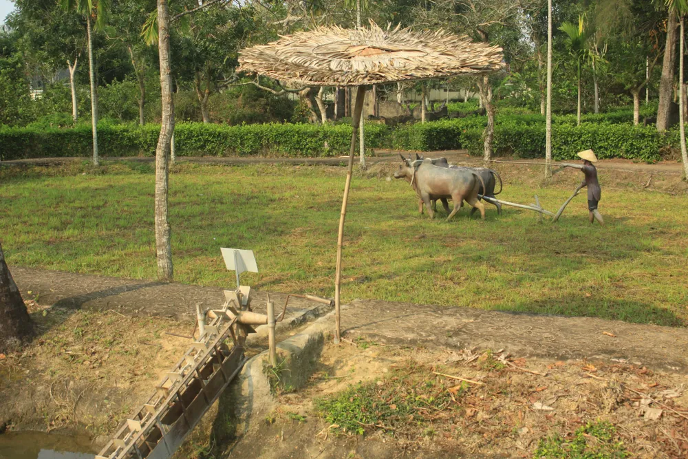 Tưởng niệm 52 năm ngày thảm sát Sơn Mỹ ảnh 7