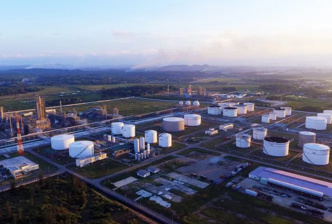 Quảng Ngãi trình Thủ tướng Chính phủ xem xét giải quyết cấp thị thực nhập cảnh cho chuyên gia nước ngoài ảnh 1