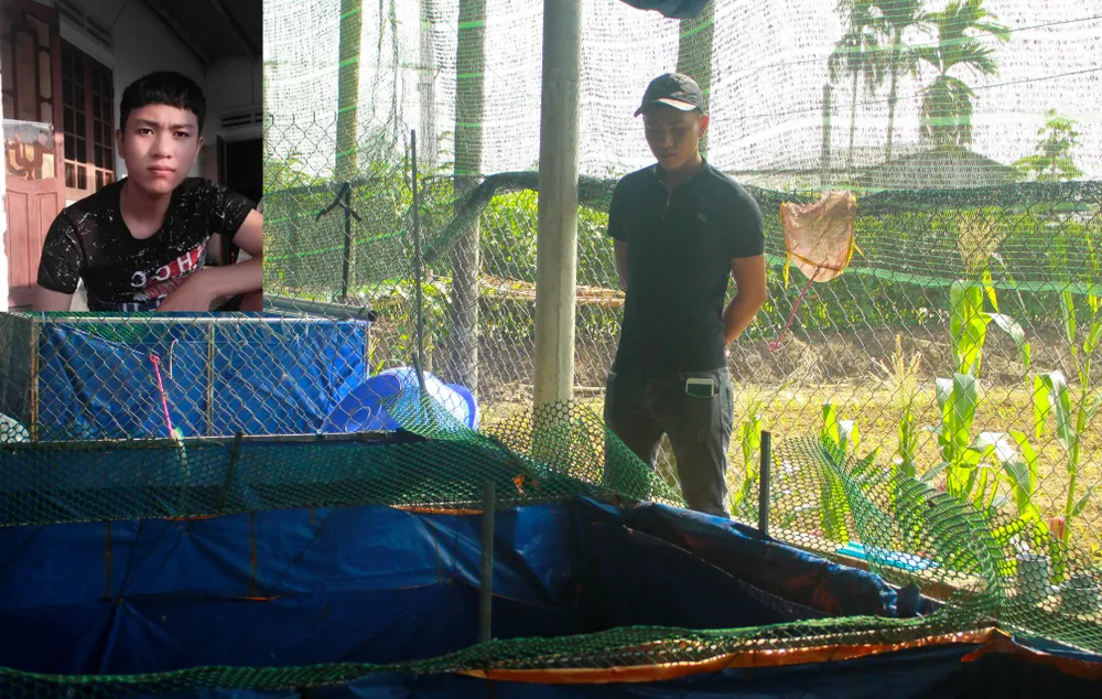 Thanh niên trẻ khởi nghiệp từ cá Koi ảnh 1