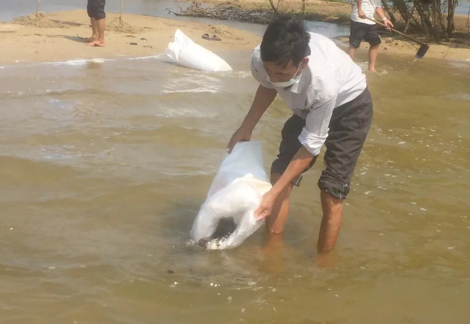 Quảng Ngãi: Thả 1,5 triệu giống tái tạo nguồn lợi thủy sản ảnh 3