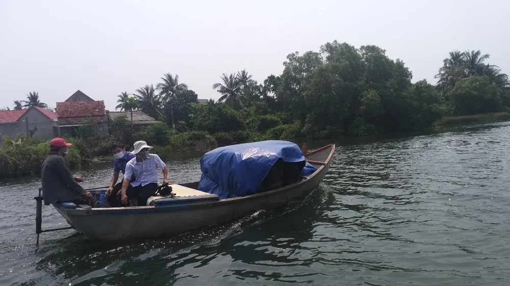 Quảng Ngãi: Thả 1,5 triệu giống tái tạo nguồn lợi thủy sản ảnh 1