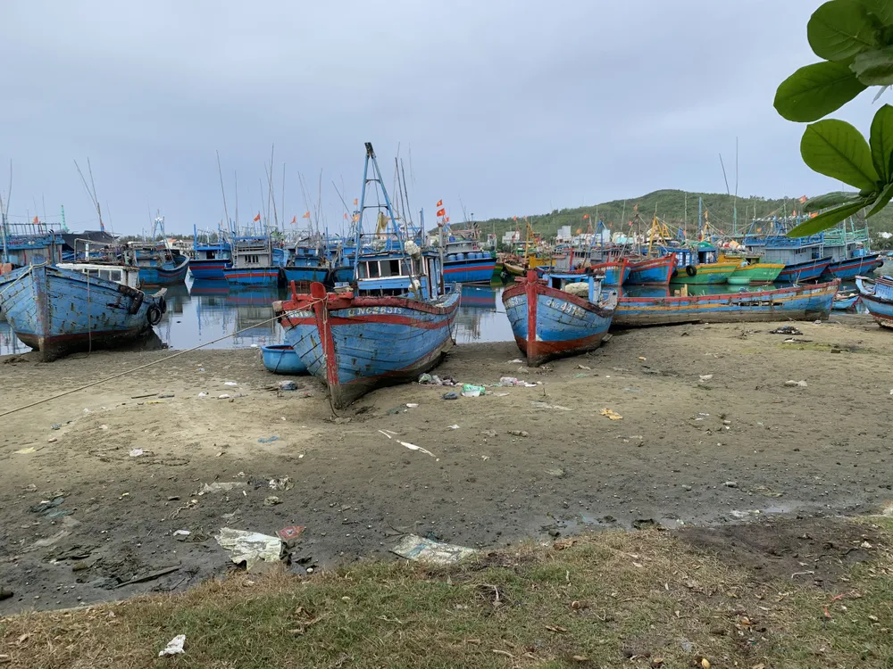 Giải pháp xử lý ô nhiễm môi trường từ xác tàu ở cảng cá Sa Huỳnh  ảnh 3