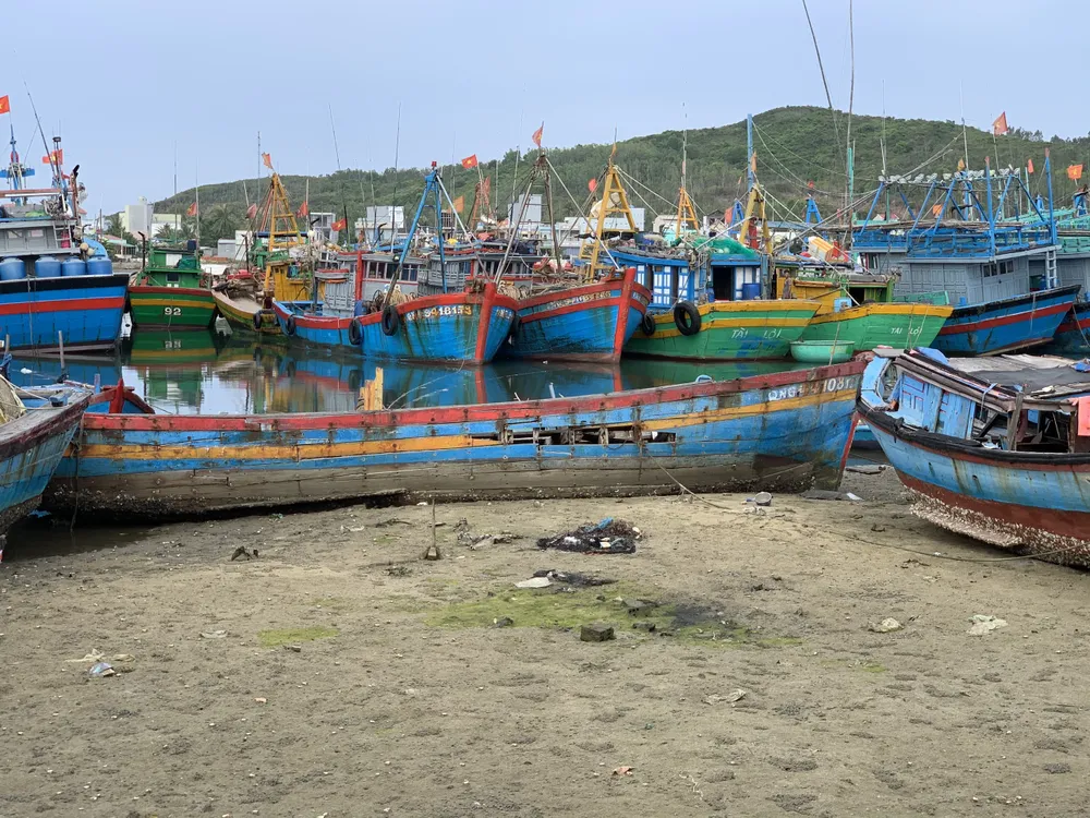 Giải pháp xử lý ô nhiễm môi trường từ xác tàu ở cảng cá Sa Huỳnh  ảnh 4