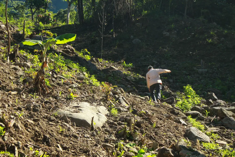 Chuyện người đàn ông hơn 45 năm sống biệt lập giữa núi rừng  ảnh 3