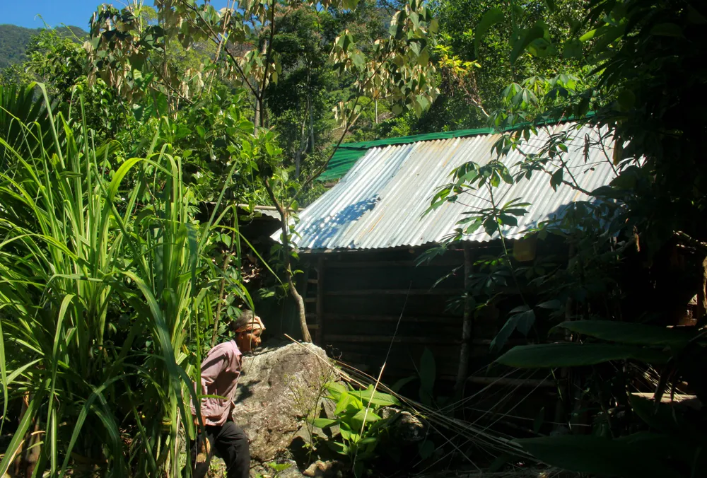 Chuyện người đàn ông hơn 45 năm sống biệt lập giữa núi rừng  ảnh 14