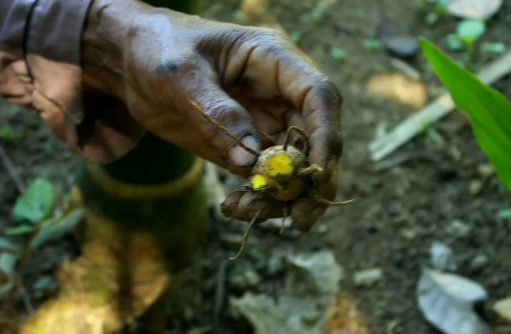 Chuyện người đàn ông hơn 45 năm sống biệt lập giữa núi rừng  ảnh 9