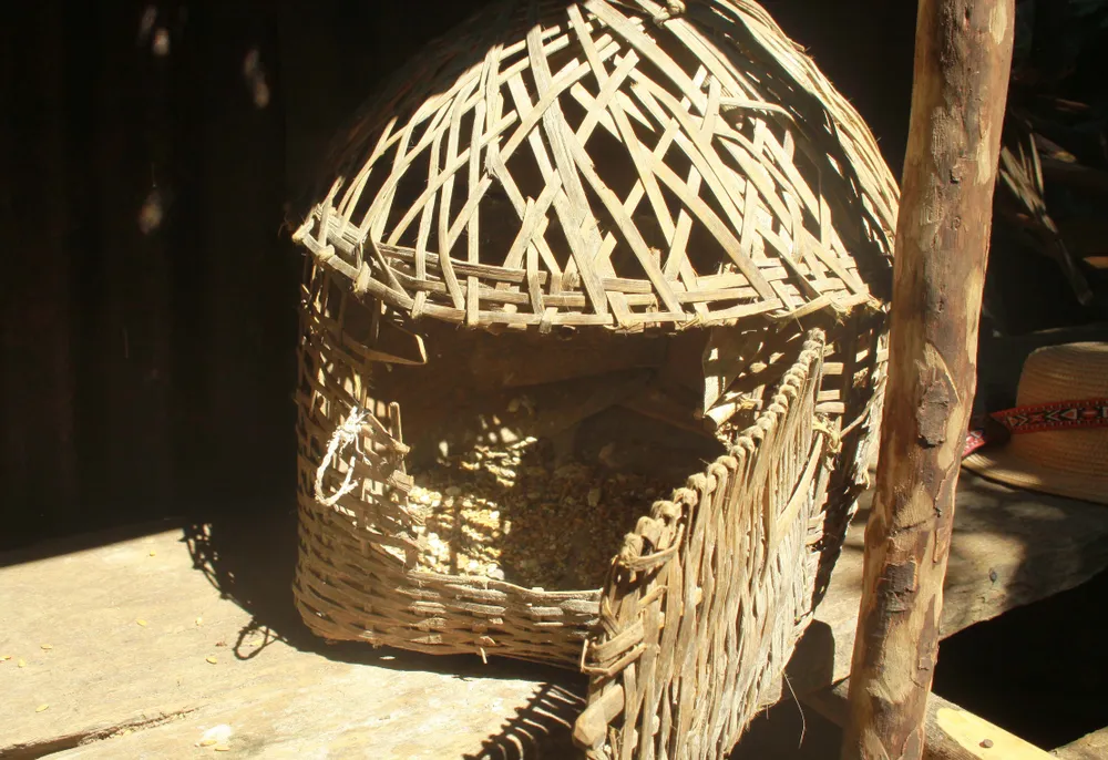 Chuyện người đàn ông hơn 45 năm sống biệt lập giữa núi rừng  ảnh 5