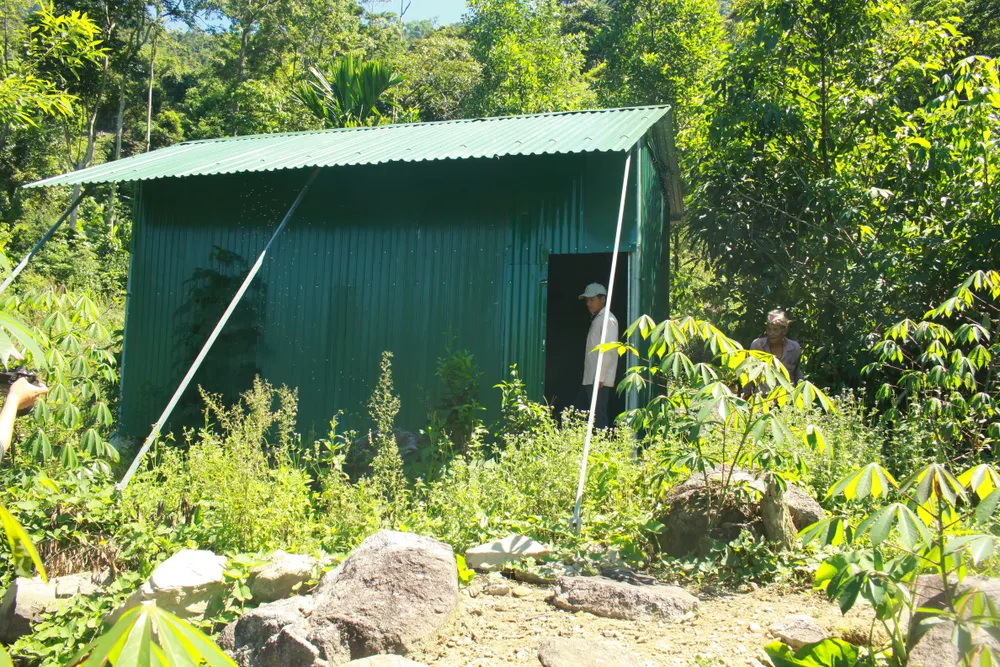 Chuyện người đàn ông hơn 45 năm sống biệt lập giữa núi rừng  ảnh 13