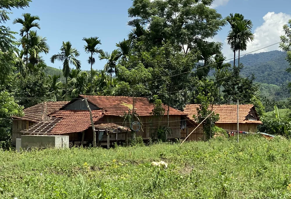 Sức trẻ làng thanh niên lập nghiệp Sơn Bua ảnh 13