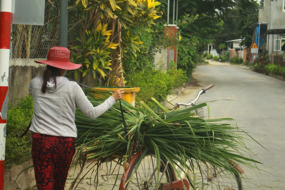 Dỡ bỏ cách ly y tế tại chỗ đối với 36 hộ dân sau khi ca bệnh 621 xuất viện ảnh 3