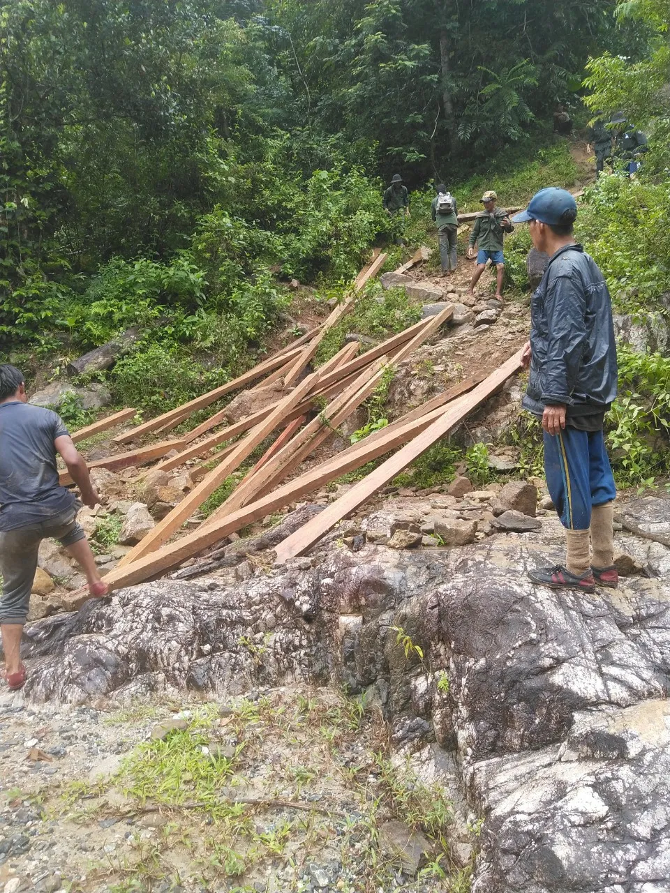Quảng Ngãi: Đưa gỗ khai thác trái phép ra khỏi rừng, truy xuất camera 6 đối tượng liên quan ảnh 1