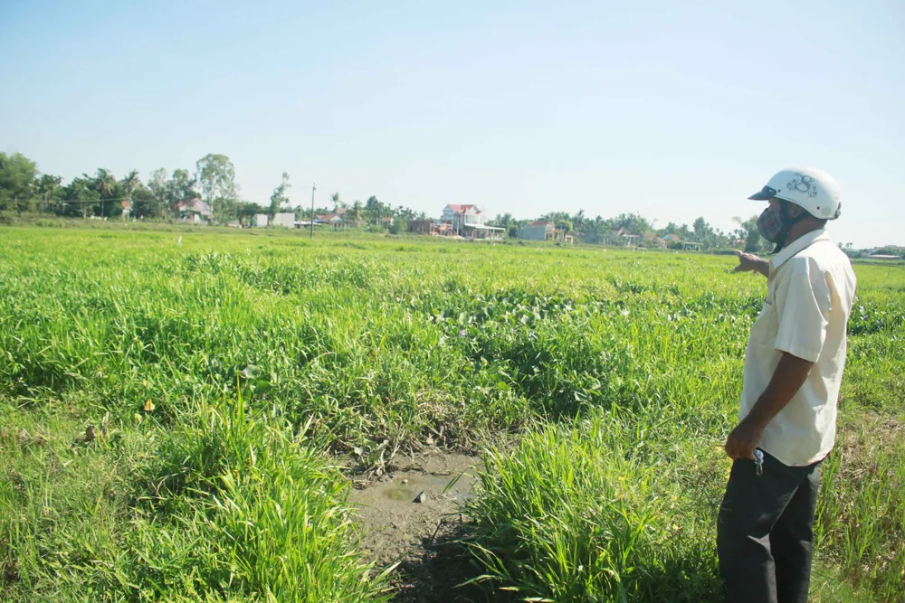 Quảng Ngãi: Nhà máy trong cụm công nghiệp Đồng Dinh gây ô nhiễm, người dân bức xúc ảnh 3