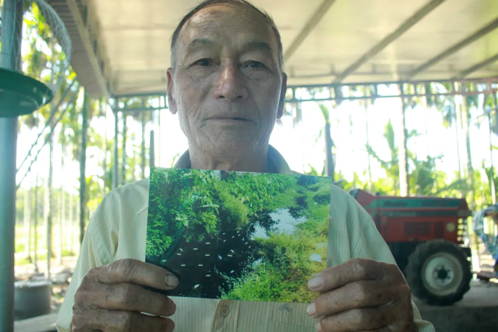 Quảng Ngãi: Nhà máy trong cụm công nghiệp Đồng Dinh gây ô nhiễm, người dân bức xúc ảnh 4