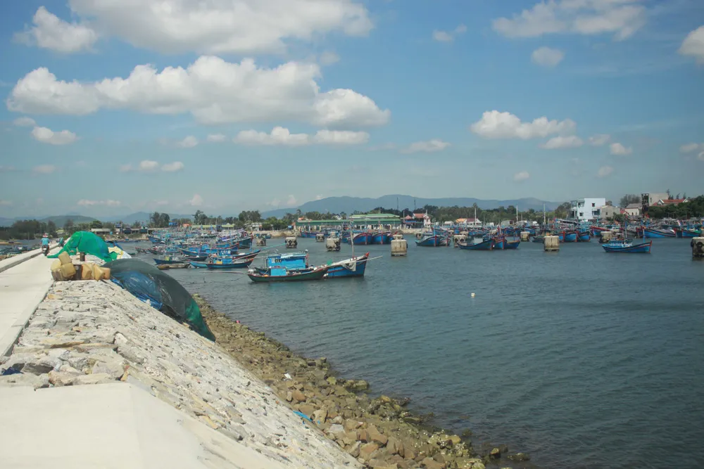 Quảng Ngãi khẩn cấp gia cố đê ở các cảng neo trú tàu thuyền trước mùa mưa bão ảnh 1