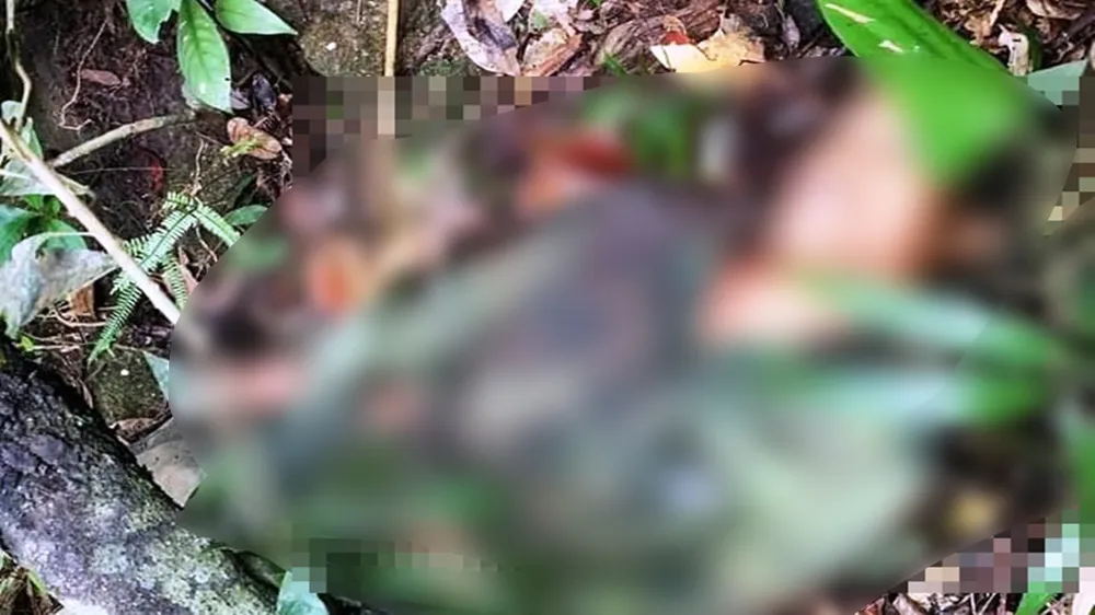 Đi săn khỉ, 1 người chết vì súng cướp cò ảnh 1