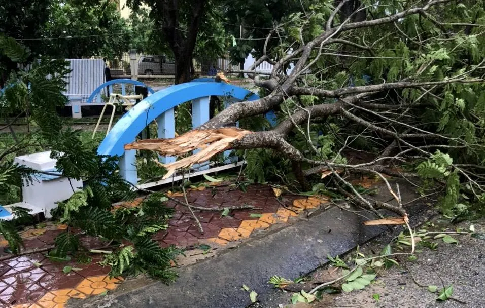 Quảng Ngãi: 9 người bị thương, hàng chục hecta đất canh tác bị thiệt hại sau bão số 6 ảnh 3