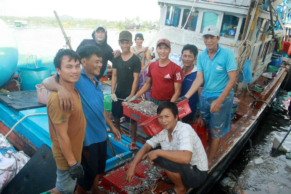  Sau bão số 6, ngư dân Quảng Ngãi tranh thủ đánh bắt ven bờ ảnh 6