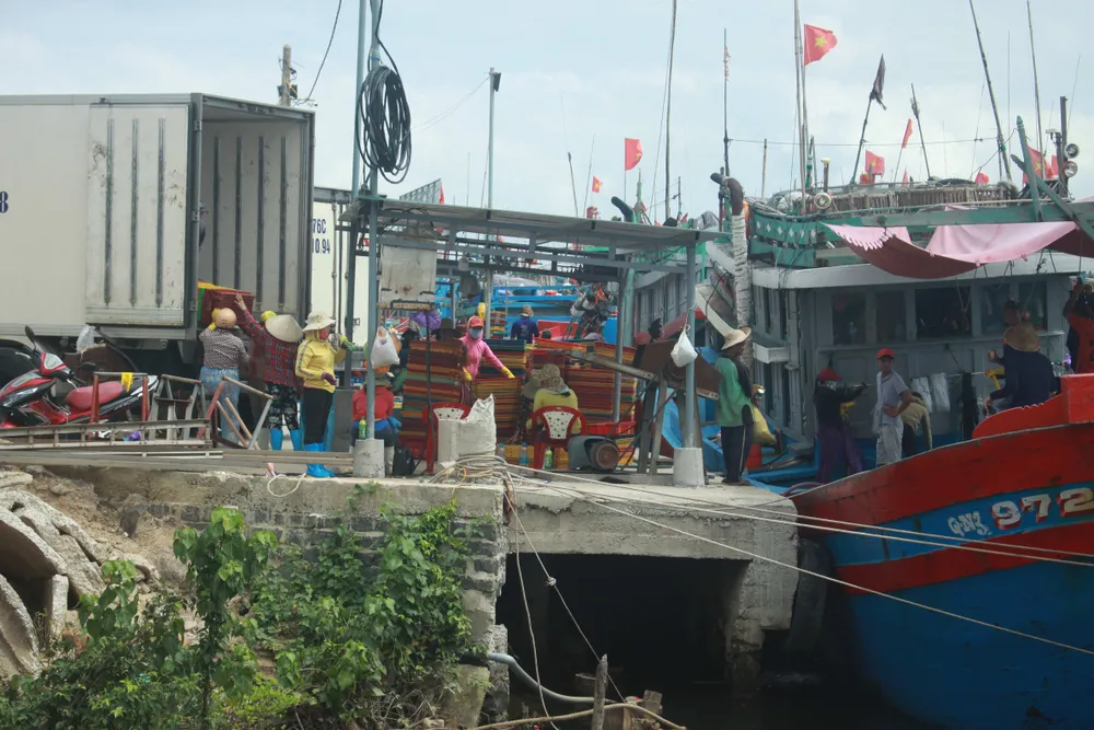 Quảng Ngãi khẩn trương neo trú tàu thuyền tránh trú bão số 9  ảnh 8