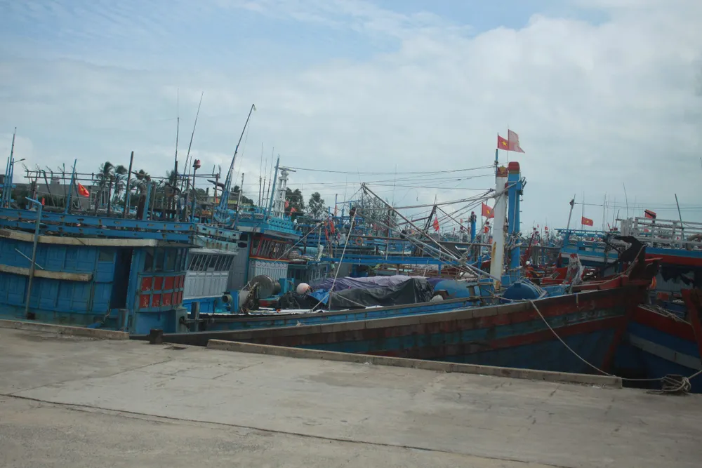 Quảng Ngãi khẩn trương neo trú tàu thuyền tránh trú bão số 9  ảnh 10