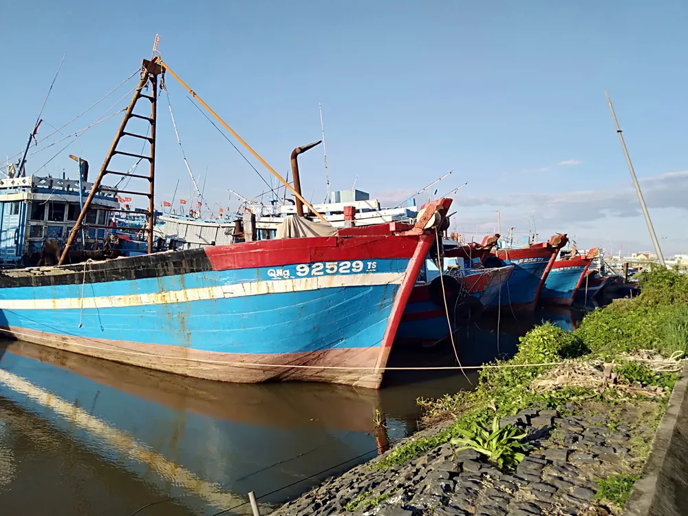 Quảng Ngãi tan hoang sau bão ảnh 7