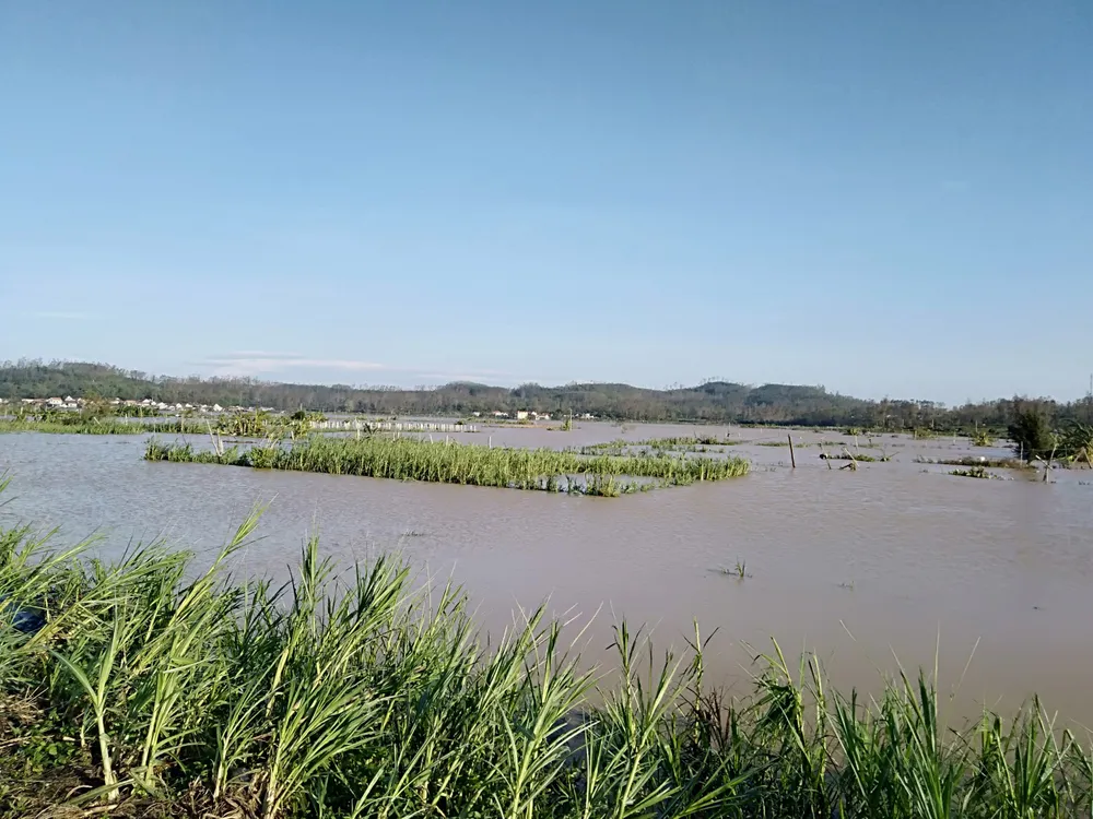 Quảng Ngãi tan hoang sau bão ảnh 2