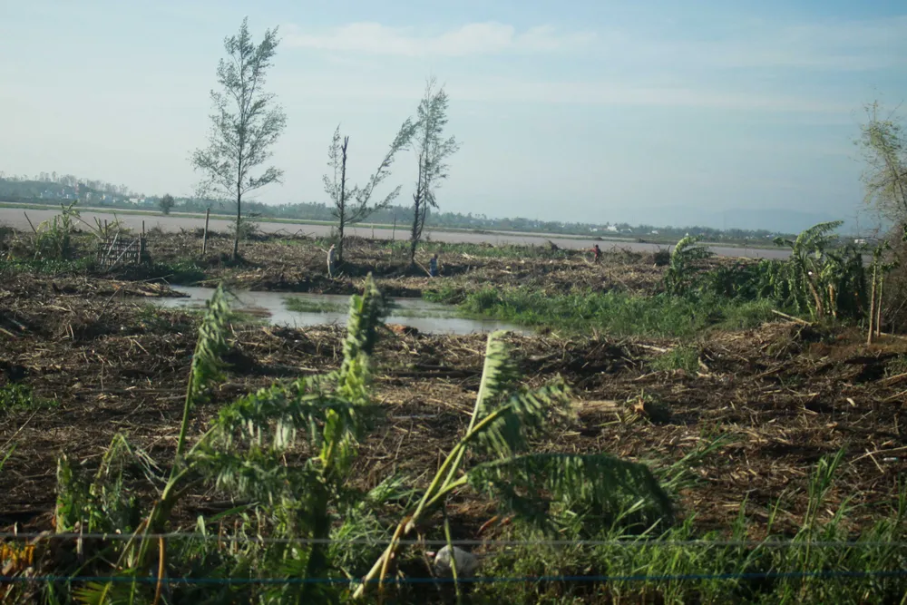 Quảng Ngãi tan hoang sau bão ảnh 12