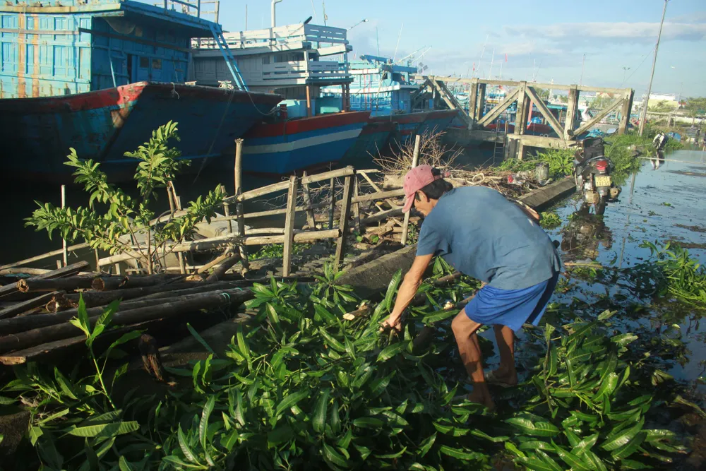 Quảng Ngãi tan hoang sau bão ảnh 9