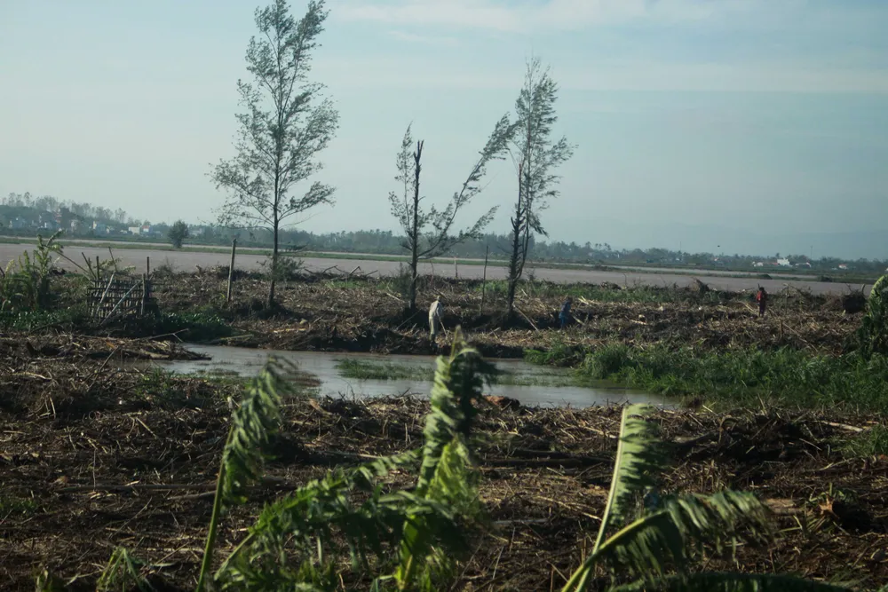 Quảng Ngãi tan hoang sau bão ảnh 10