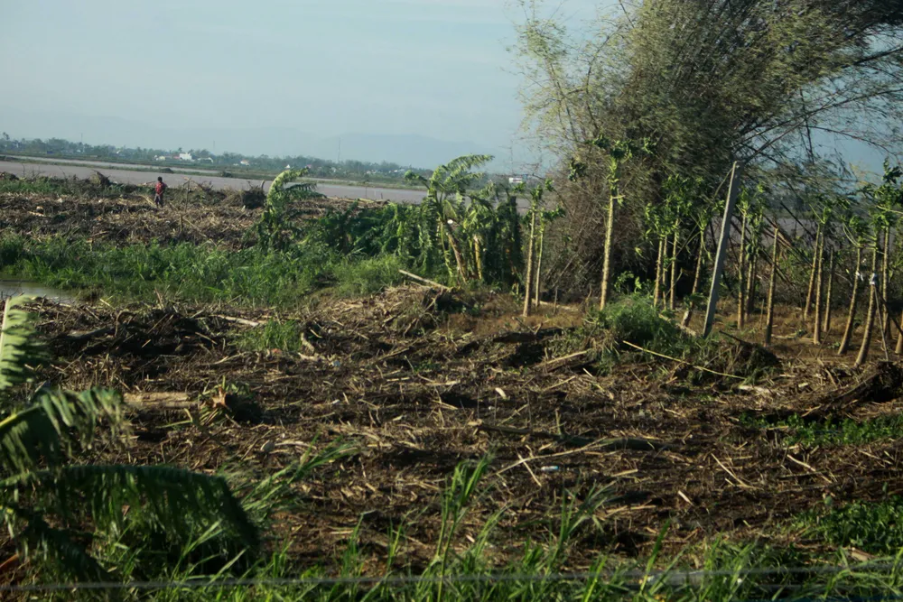 Quảng Ngãi tan hoang sau bão ảnh 11