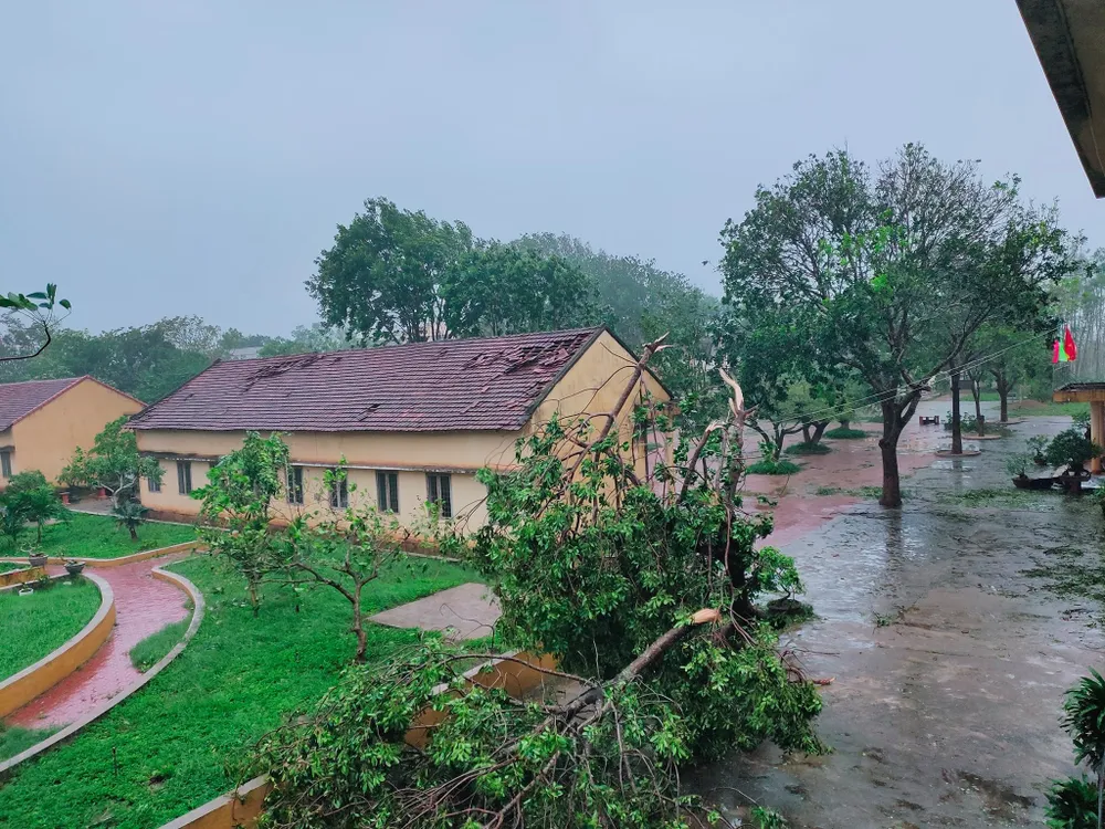 Bộ trưởng Nguyễn Xuân Cường thăm hỏi người dân Quảng Ngãi sau bão số 9  ảnh 2