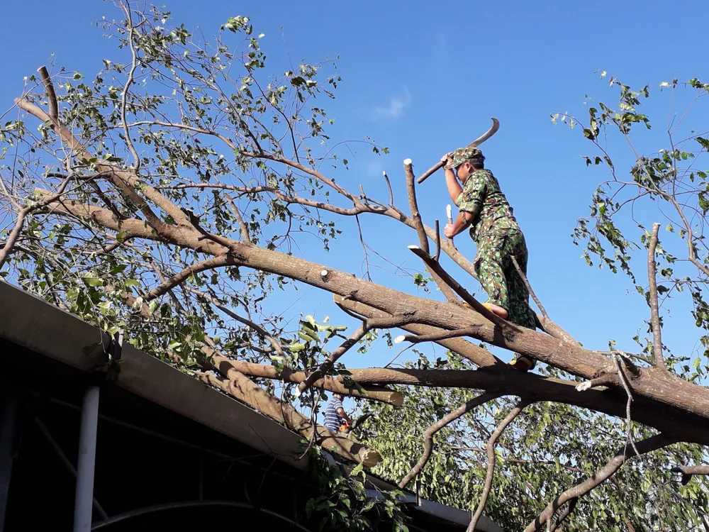 Quảng Ngãi chủ động ứng phó siêu bão Goni  ảnh 2
