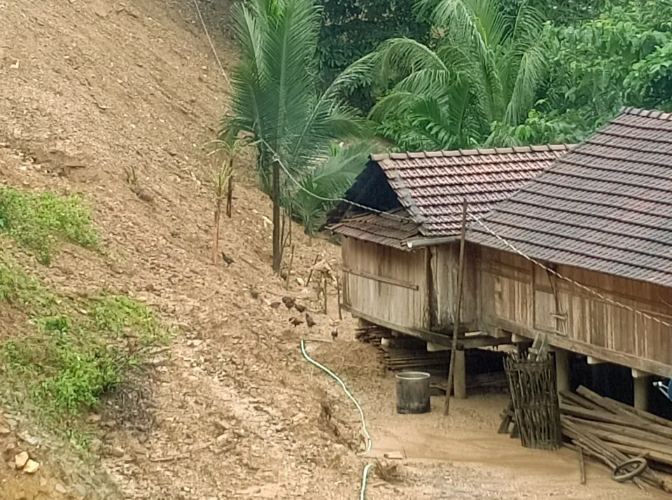 Quảng Ngãi di dời 300 người dân vì vết nứt núi sạt lở kéo dài ảnh 1