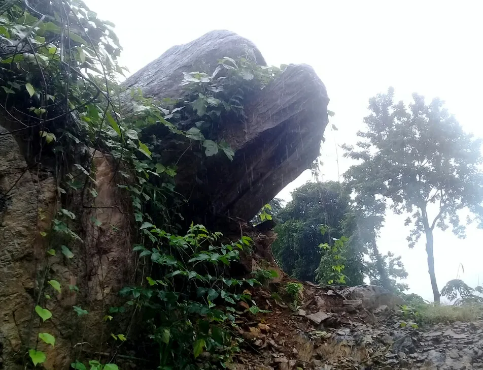 Quảng Ngãi di dời 300 người dân vì vết nứt núi sạt lở kéo dài ảnh 2