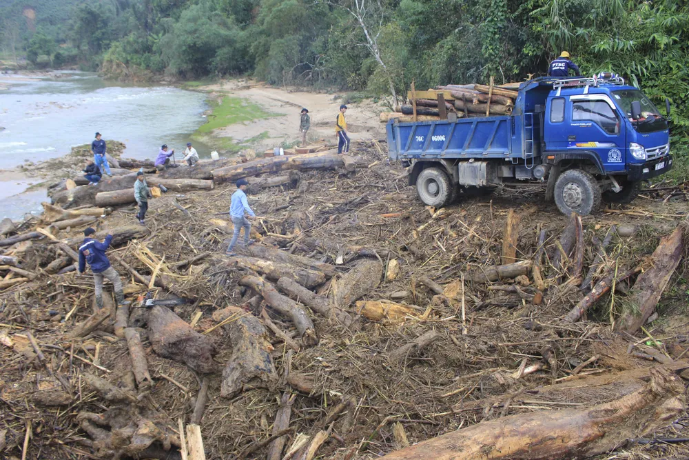 Quảng Ngãi: hàng chục khối gỗ theo lũ đổ về, người dân đổ xô đi vớt ảnh 2