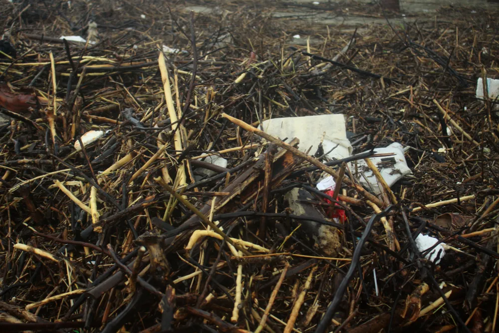 Củi khô bủa vây hơn 10km bờ biển Mỹ Khê ảnh 4