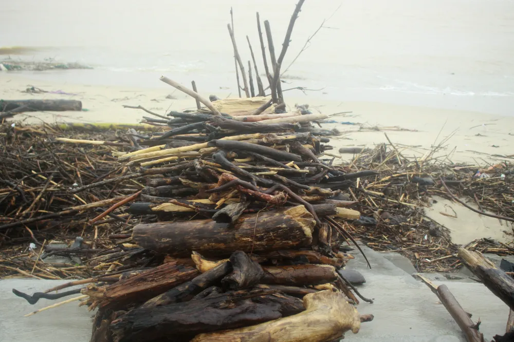 Củi khô bủa vây hơn 10km bờ biển Mỹ Khê ảnh 11