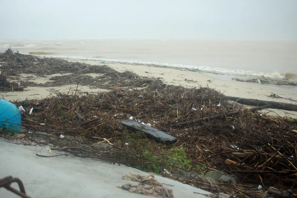 Củi khô bủa vây hơn 10km bờ biển Mỹ Khê ảnh 10