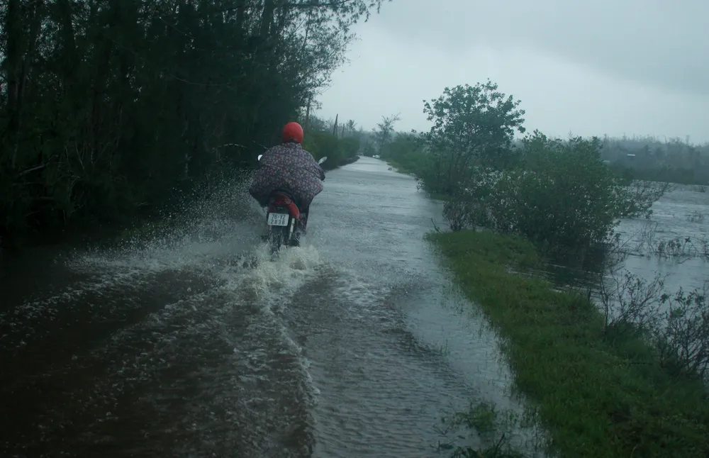 Huyện đảo Lý Sơn xuất gạo cấp người dân đảo Bé ứng phó bão số 13 ảnh 4