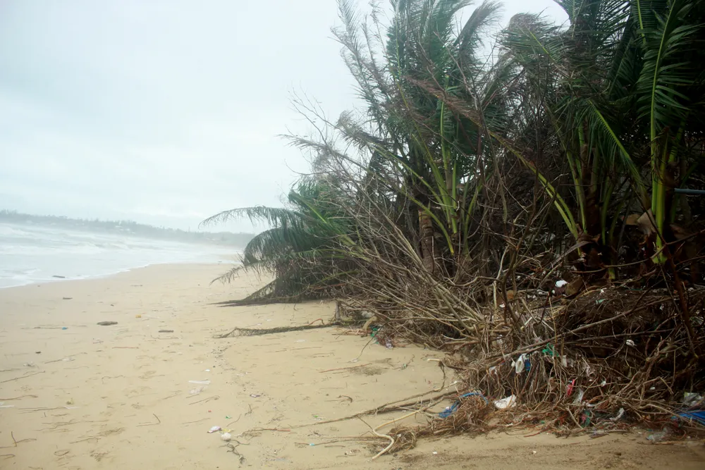 Người dân ven biển Quảng Ngãi cuống cuồng vì sạt lở ảnh 11