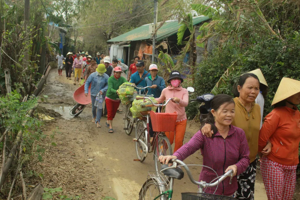 Xóm ốc đảo sông Trà Bồng khắc phục sau lũ ảnh 10