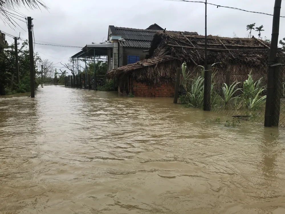 Quảng Nam sơ tán dân, tạm dừng tìm người mất tích, Quảng Ngãi nhiều nơi ngập lụt ảnh 3