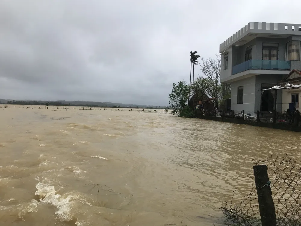 Quảng Nam sơ tán dân, tạm dừng tìm người mất tích, Quảng Ngãi nhiều nơi ngập lụt ảnh 2