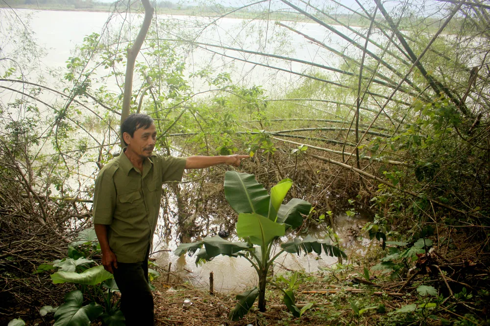 Quảng Ngãi: Sạt lở bờ sông Trà Khúc, đe dọa cuộc sống người dân ảnh 5