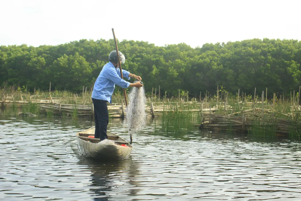 Quảng Ngãi phát triển bền vững các vùng đất ngập nước, bảo tồn rùa biển ảnh 1