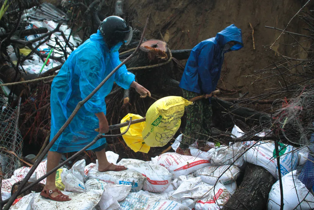 Bộ đội giúp dân chống sạt lở bờ biển Bình Hải ảnh 8